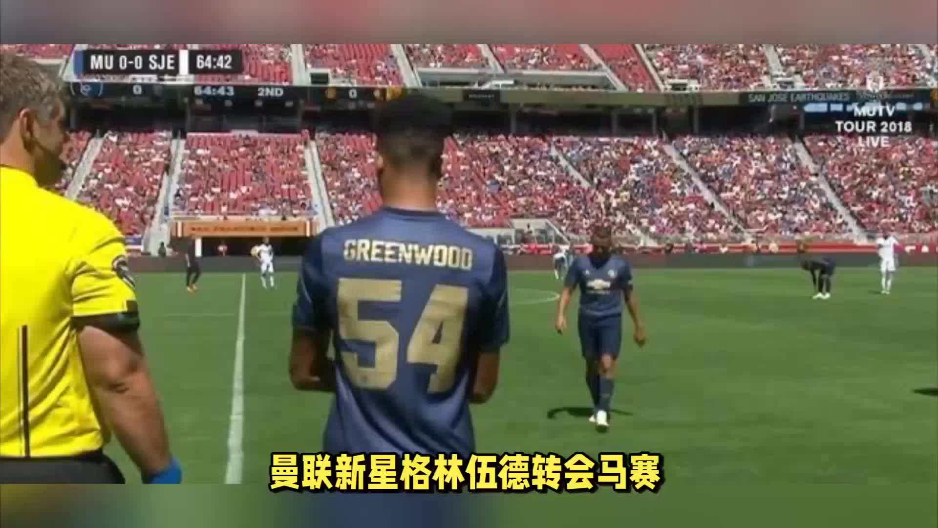样重
